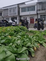Episode 20 - Sewa Pacar Buat Tahun Baru