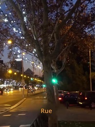 Épisode 45 - Enceinte comme une vierge