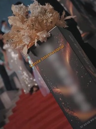 Black Moonlight Ingin Kesuksesan - Episode 21