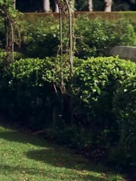 Episode 25 - Ausgebrannte Liebe