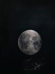 機智誘惑 - Episode 57