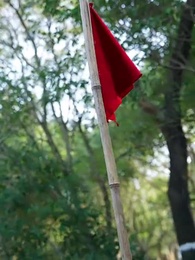 The General's Lady Luck - Episode 19