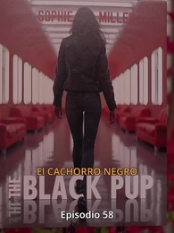 El emparejamiento de Hollywood - Episode 58