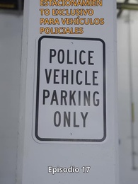 Episodio 17 - El emparejamiento de Hollywood