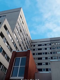 Episodio 63 - El Perdedor de mi Esposo es un Magnate Financiero