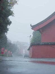 第28集 - 從娘胎開始修煉