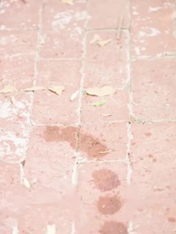 Episódio 26 - A Noiva Amnésica do Bilionário