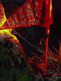 從娘胎開始修煉 - Episode 37