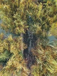 Tập 15 - Khuất Phục