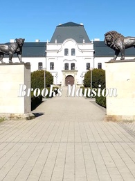 Married a Celebrity After Divorce a Billionaire - Episode 50