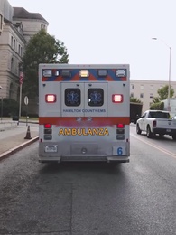 Episodio 11 - La Moglie Ribelle del CEO