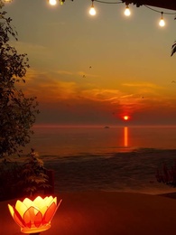 Episode 28 - Oops, I Fell for My Ex