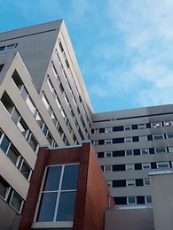 Episode 26 - Oops, I Fell for My Ex