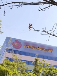 ตอนที่ 1 - เพลิงรักแผดเผาทุกสิ่ง