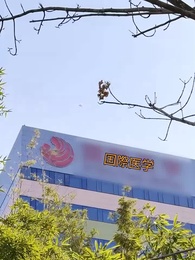 第1話 - 愛が燃え尽き 空しくなるまで