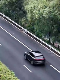 Blessing from the Miracle Baby - Episode 13