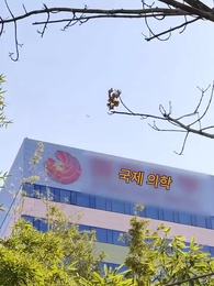 1화 - 재가 되어버린 사랑