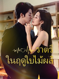 ราตรีในฤดูใบไม้ผลิ
