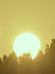 Terjebak Dalam Dunia Novel - Episode 13