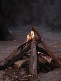 第51話 - 金の枝 夢を紡ぐ