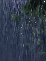 Épisode 24 - Trop Tard pour Nos Cœurs