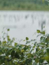 Episode 57 - Abgelehnte Sklavin trifft ihren Alpha