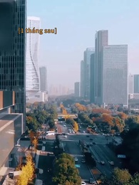 Tập 41 - Chiến Thần Chốt Đơn