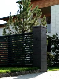 Episode 49 - [Synchron] Flucht als Ehefrau von CEO