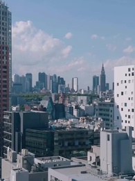 Episódio 36 - O Chefe Secreto