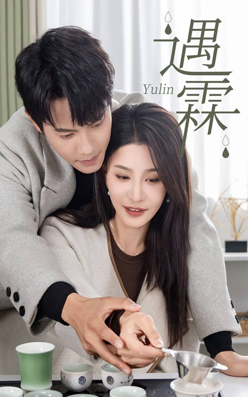 《遇霖》封面