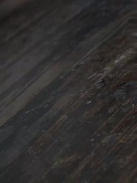 Tập 26 - Chém Tình Đoạn Duyên, Ta Muốn Thành Tiên