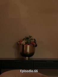 Episodio 66 - L’erede miliardaria indesiderata