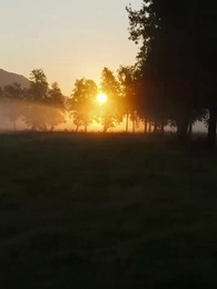 Episode 62 - Meine unerwünschte Gefährtin umwerben