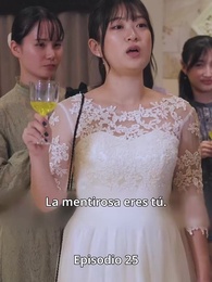 Almas reunidas por el destino - Episode 25