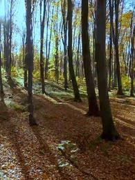 Meine unerwünschte Gefährtin umwerben - Episode 31