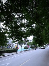 Kurir Makanan Sensasi CEO - Episode 33