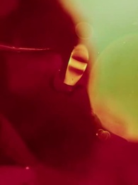 Episode 68 - Wahre Liebe, wahres Blut