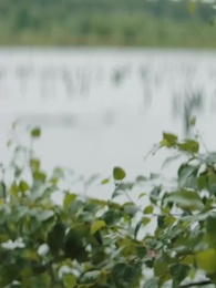 Escrava Rejeitada Encontra Seu Alfa - Episode 57