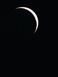 Wahre Liebe, wahres Blut - Episode 51