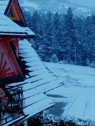 Episode 36 - Wahre Liebe, wahres Blut