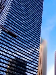 Seis niños monos y el matrimonio - Episode 47