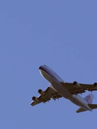 Episodio 62 - Regina dello Spettacolo