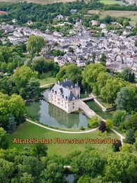 Episódio 25 - [Dublado] A Rejeitada Luna Voltou com um Filho