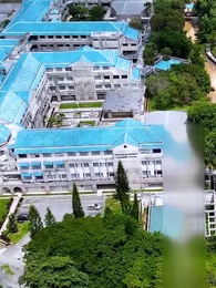 Seis niños monos y el matrimonio - Episode 12