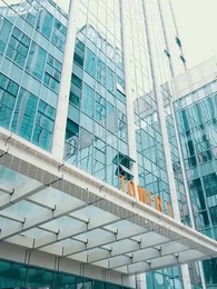 Tập 50 - Thần Vương Vô Địch Của Nữ Tổng Tài
