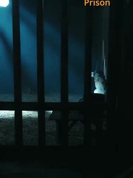 Princesse Réa - Episode 19