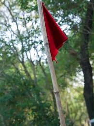 Episode 19 - Bunga di Medan Perang