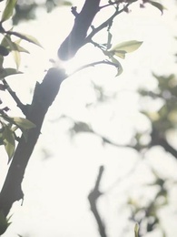 Profundo Amor,Ligados pelo Destino - Episode 15