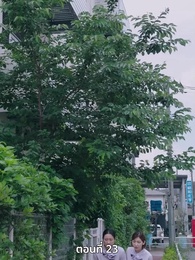 ตอนที่ 23 - แผนล้างบอร์ด แม่บ้านซีอีโอ