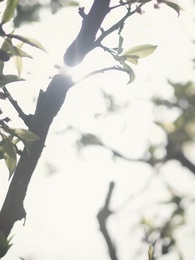 Episódio 8 - Profundo Amor,Ligados pelo Destino